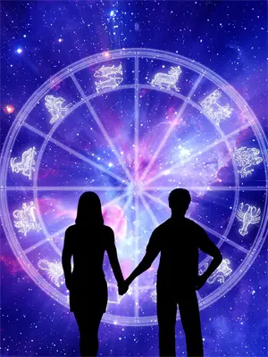 她的算法，他的囚笼林薇陈阳完本小说免费阅读_小说完结版她的算法，他的囚笼林薇陈阳